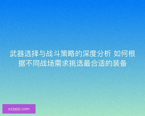 武器选择与战斗策略的深度分析 如何根据不同战场需求挑选最合适的装备