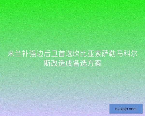 米兰补强边后卫首选坎比亚索萨勒马科尔斯改造成备选方案 米兰补强边后卫首选坎比亚索萨勒马科尔斯改造成备选方案