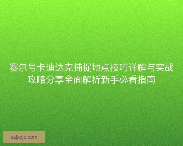 赛尔号卡迪达克捕捉地点技巧详解与实战攻略分享全面解析新手必看指南