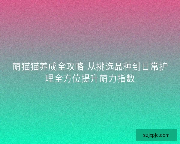 萌猫猫养成全攻略 从挑选品种到日常护理全方位提升萌力指数 萌猫猫养成全攻略 从挑选品种到日常护理全方位提升萌力指数