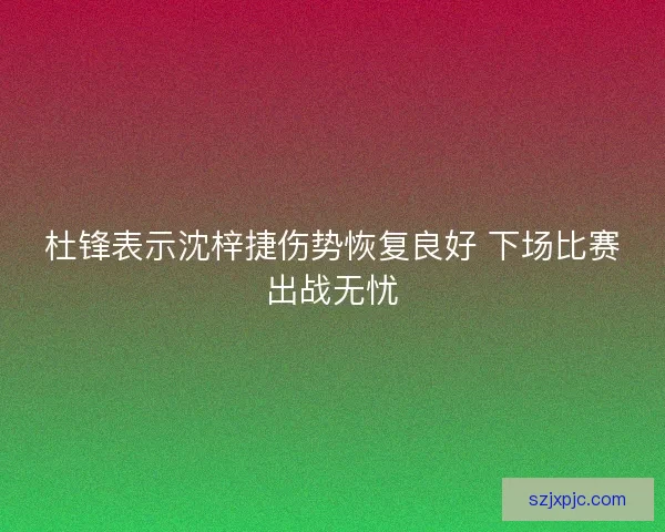 杜锋表示沈梓捷伤势恢复良好 下场比赛出战无忧 杜锋表示沈梓捷伤势恢复良好 下场比赛出战无忧