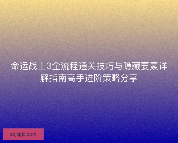 命运战士3全流程通关技巧与隐藏要素详解指南高手进阶策略分享
