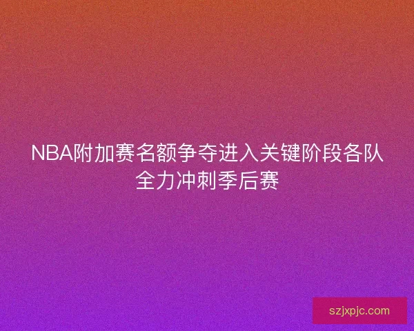 NBA附加赛名额争夺进入关键阶段各队全力冲刺季后赛