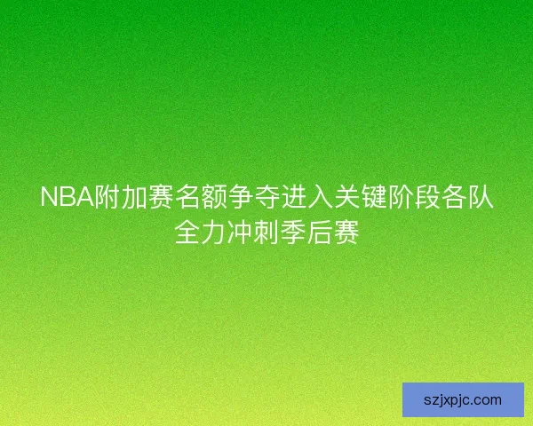 NBA附加赛名额争夺进入关键阶段各队全力冲刺季后赛